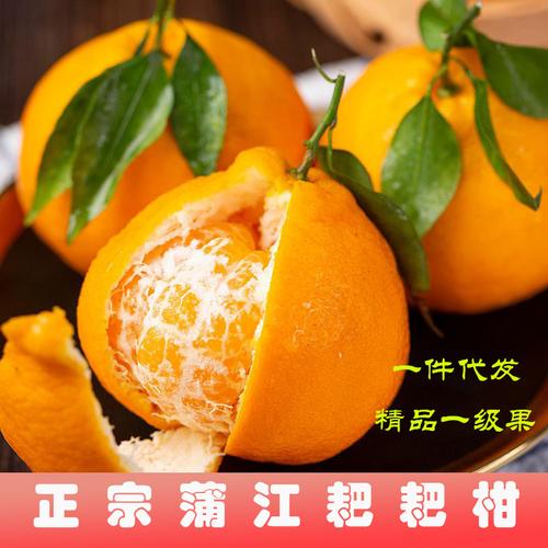 春日鲜甜，一瓣入心——四川蒲江春见耙耙柑橙尝鲜记