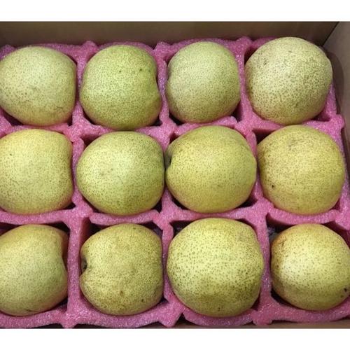 爱心助卖 | 砀山酥梨买5斤送3斤，8斤地标鲜果暖心直达