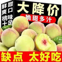 2025十款热门桃子产品榜 从枝头鲜甜到心尖好物，值得入手的桃子商品全推荐
