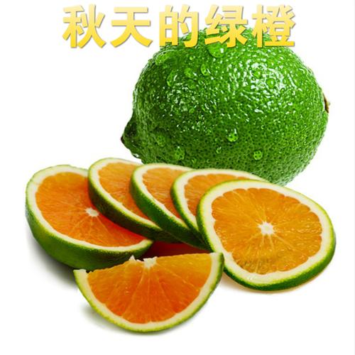 海南绿橙 从枝头到舌尖的新鲜承诺