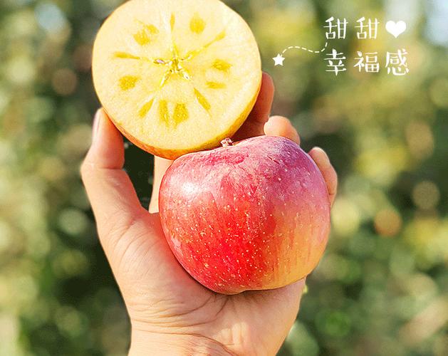 阿克苏冰糖心苹果 天山脚下的甜蜜馈赠